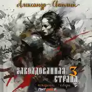 Постер книги Заколдованная страна 3: покорение севера