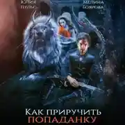 Постер книги Как приручить попаданку