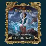 Постер книги Случай из практики. Осколки бури