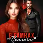 Постер книги В рамках приличий