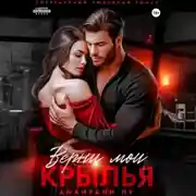 Постер книги Верни мои крылья