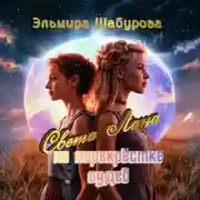 Постер книги Света Лана на перекрёстке судеб