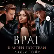 Постер книги Враг в моей постели