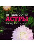 Виктория Зонова - Астры. Лучшие сорта