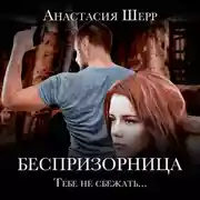 Постер книги Беспризорница