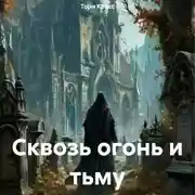 Постер книги Сквозь огонь и тьму