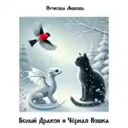 Постер книги Белый Дракон и Черная Кошка