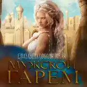 Постер книги Мужской гарем