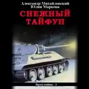 Постер книги Снежный Тайфун