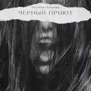 Постер книги Черный Приют