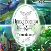 Постер книги Приключения мелкашей. Тайный мир