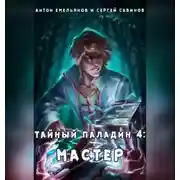 Постер книги Тайный паладин 4. Мастер
