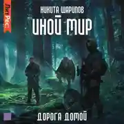 Постер книги Иной мир. Дорога домой