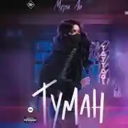 Постер книги Туман