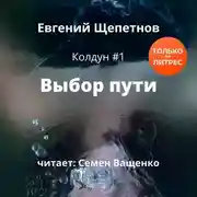 Постер книги Выбор пути