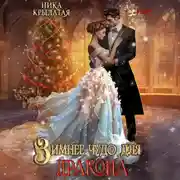 Постер книги Зимнее чудо для дракона