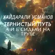 Постер книги Тернистый путь. А и Б сидели на трубе