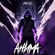 Постер книги Анима