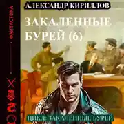 Постер книги Закаленные бурей 6