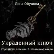 Постер книги Украденный ключ