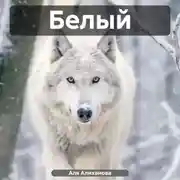 Постер книги Белый