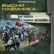 Постер книги Будни наемника