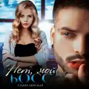 Постер книги Нет, мой босс