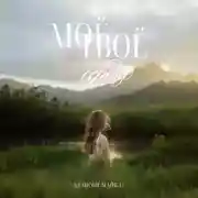 Постер книги Моё-твоё сердце