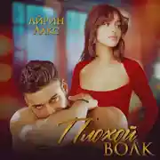 Постер книги Плохой Волк