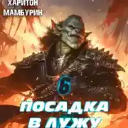 Постер книги Посадка в лужу. Книга шестая