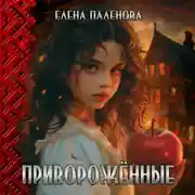 Постер книги Приворожённые