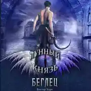 Постер книги Лунный князь. Беглец