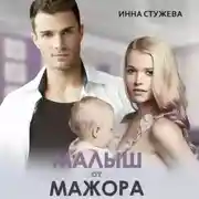 Постер книги Малыш от мажора