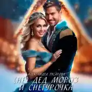 Постер книги (Не)Дед Мороз и Снегурочка