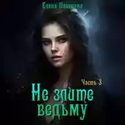Постер книги Не злите ведьму. Часть 3