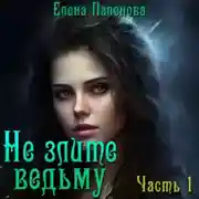 Постер книги Не злите ведьму. Часть 1