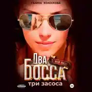 Постер книги Два босса. Три засоса