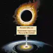 Постер книги Квантовая структура Мульти-Вселенной