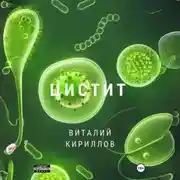 Постер книги Цистит