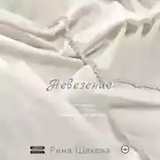 Постер книги Невезение