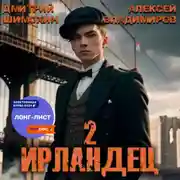 Постер книги Ирландец 2