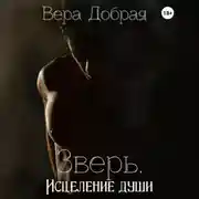 Постер книги Зверь. Исцеление души