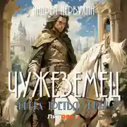 Постер книги Чужеземец. Книга третья. Жрец