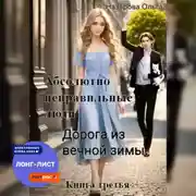 Постер книги Абсолютно неправильные люди. Дорога из вечной зимы