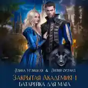 Постер книги Батарейка для мага