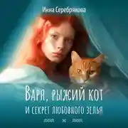 Постер книги Варя, рыжий кот и секрет любовного зелья