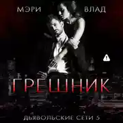 Постер книги Грешник