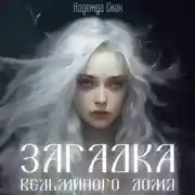 Постер книги Загадка ведьминого дома