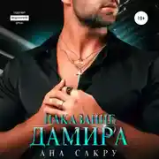 Постер книги Наказание Дамира