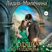 Постер книги Золушка из подземелья